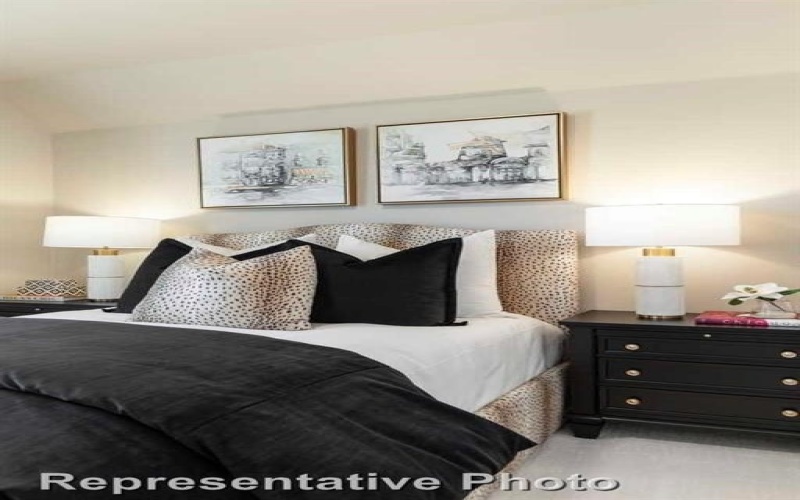 4241 Palomino Road, Aubrey, TX 76227, 4 Habitaciones Habitaciones , ,5 BañosBaños,Residential,En Venta,4241 Palomino Road,0,20915609