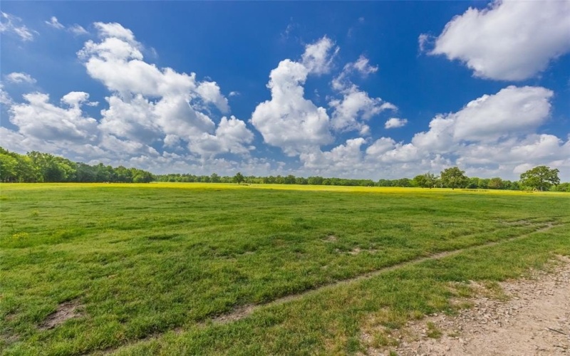 300 County Road 3636 Road, Dike, TX 75437, 3 Habitaciones Habitaciones , ,2 BañosBaños,Residential,En Venta,300 County Road 3636 Road,20917582