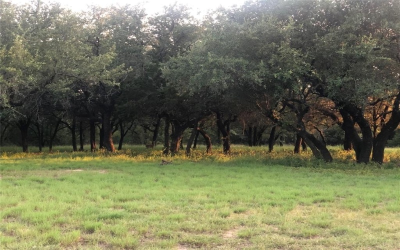1906 Coleman Ranch Road, Tolar, TX 76476, 4 Bedrooms Bedrooms, ,2 BathroomsBathrooms,Residential,For Sale,1906 Coleman Ranch Road,0,20922047