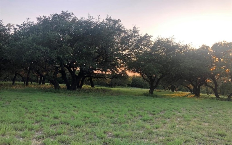 1906 Coleman Ranch Road, Tolar, TX 76476, 4 Bedrooms Bedrooms, ,2 BathroomsBathrooms,Residential,For Sale,1906 Coleman Ranch Road,0,20922047