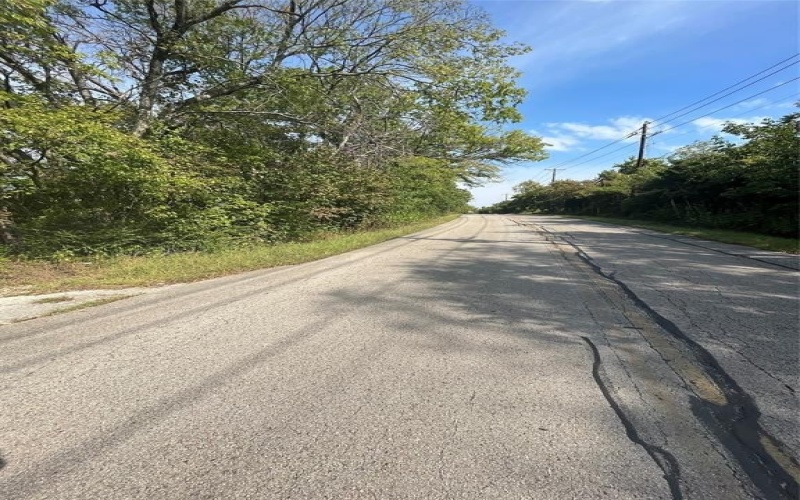 215 N Houston School Road, Lancaster, TX 75146, ,Land,For Sale,215 N Houston School Road,20922053