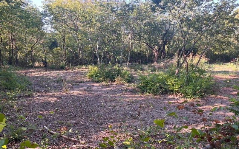215 N Houston School Road, Lancaster, TX 75146, ,Land,For Sale,215 N Houston School Road,20922053
