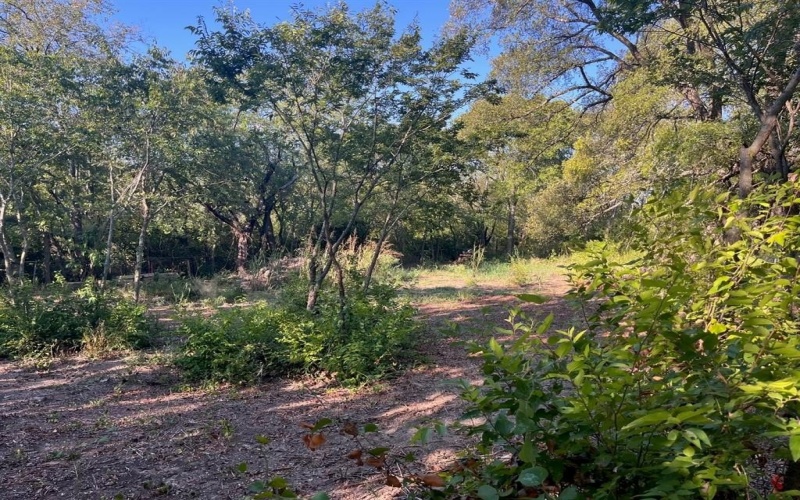 215 N Houston School Road, Lancaster, TX 75146, ,Land,For Sale,215 N Houston School Road,20922053