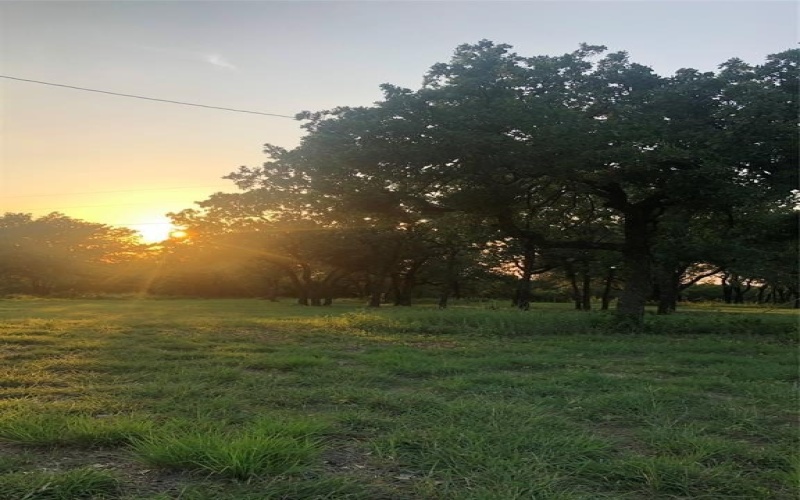 1918 Coleman Ranch Road, Tolar, TX 76476, 3 Bedrooms Bedrooms, ,2 BathroomsBathrooms,Residential,For Sale,1918 Coleman Ranch Road,0,20922091