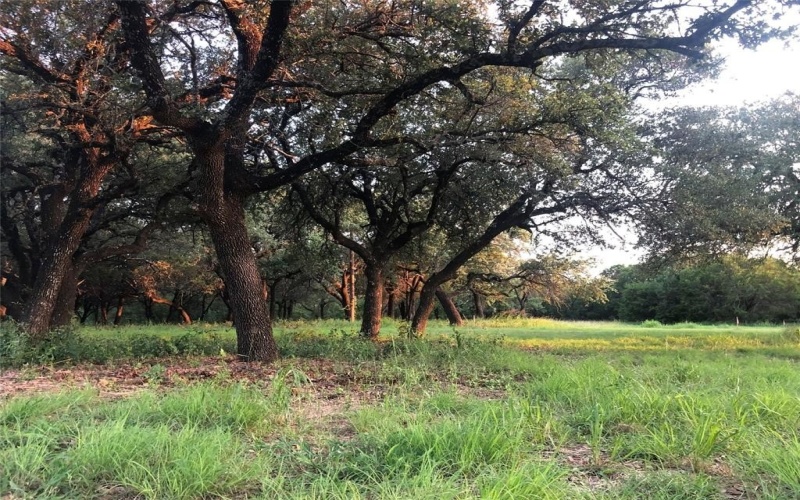 1918 Coleman Ranch Road, Tolar, TX 76476, 3 Bedrooms Bedrooms, ,2 BathroomsBathrooms,Residential,For Sale,1918 Coleman Ranch Road,0,20922091