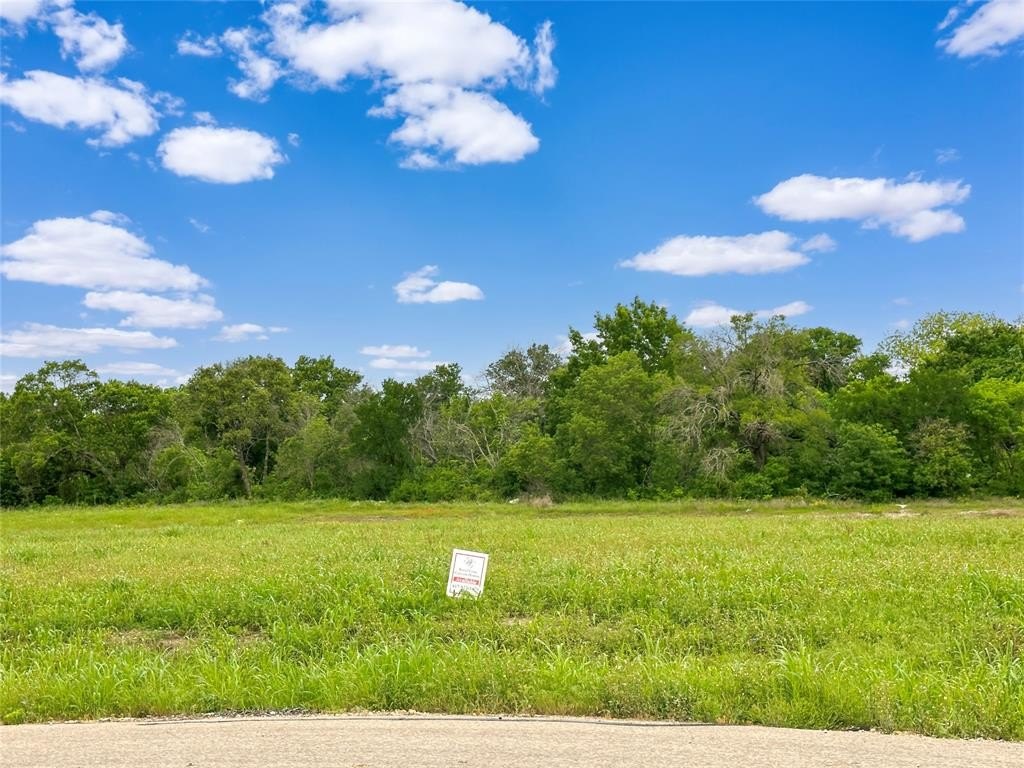 2008 Silver Sage Trail, Weatherford, TX 76085, ,Land,For Sale,2008 Silver Sage Trail,20923549