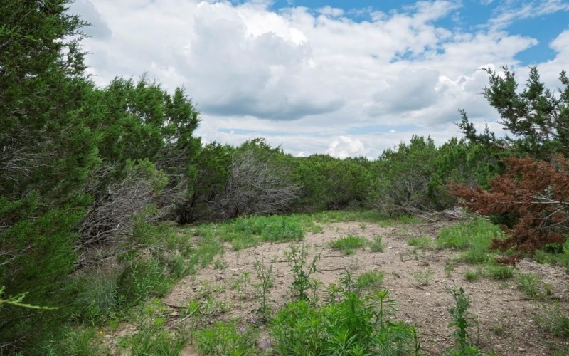 805 Hidden Valley, Bluff Dale, TX 76433, 3 Bedrooms Bedrooms, ,2 BathroomsBathrooms,Residential,For Sale,805 Hidden Valley,20932571