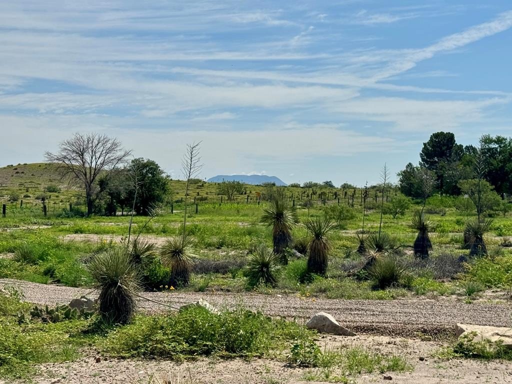 1603 W Washington St, Marfa, TX 79843, 1 Bedroom Bedrooms, ,1 BathroomBathrooms,Residential,For Sale,1603 W Washington St,158483