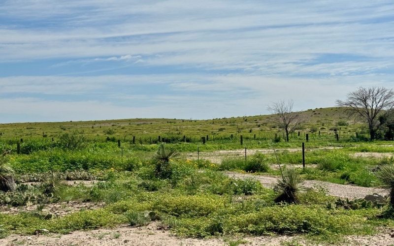 1603 W Washington St, Marfa, TX 79843, 1 Bedroom Bedrooms, ,1 BathroomBathrooms,Residential,For Sale,1603 W Washington St,158483
