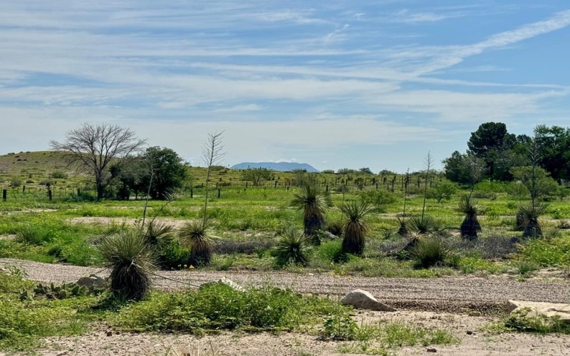 1603 W Washington St, Marfa, TX 79843, 1 Bedroom Bedrooms, ,1 BathroomBathrooms,Residential,For Sale,1603 W Washington St,158483