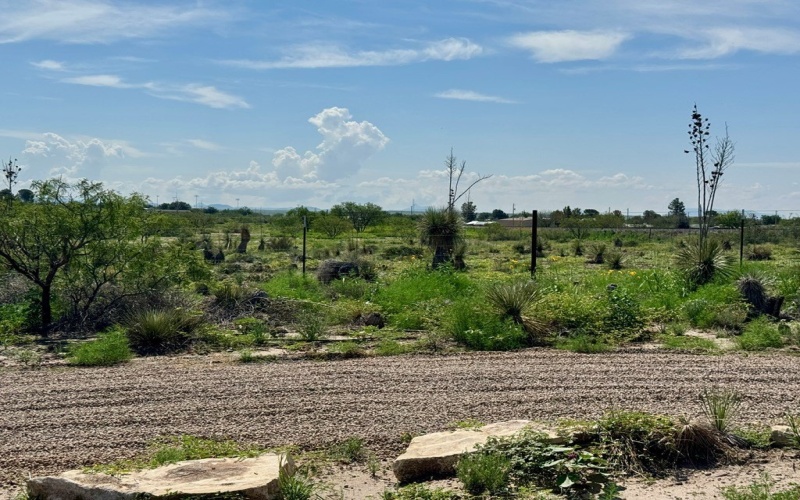 1603 W Washington St, Marfa, TX 79843, 1 Bedroom Bedrooms, ,1 BathroomBathrooms,Residential,For Sale,1603 W Washington St,158483