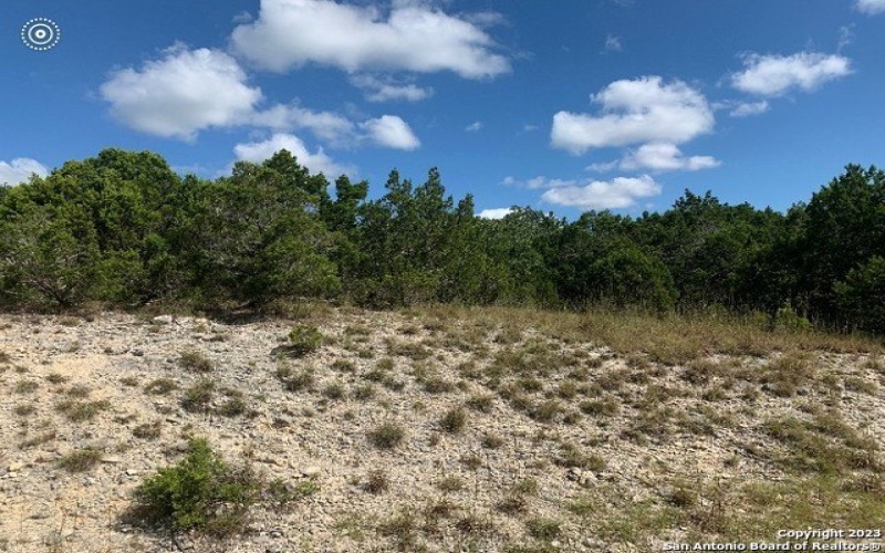 560 Eagle Peak Dr, Fischer, TX 78623, 4 Bedrooms Bedrooms, ,3 BathroomsBathrooms,Residential,For Sale,560 Eagle Peak Dr,1669279