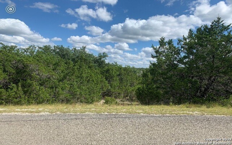 1030 Soaring Eagle Dr, Fischer, TX 78623, 3 Bedrooms Bedrooms, ,2 BathroomsBathrooms,Residential,For Sale,1030 Soaring Eagle Dr,1738956
