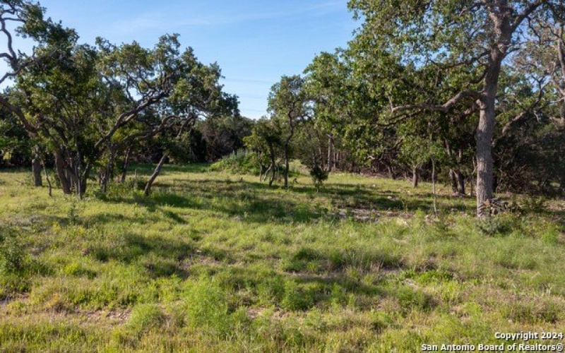739 MAXIMINO RIDGE RD, Bulverde, TX 78163-2542, 3 Habitaciones Habitaciones , ,3 BañosBaños,Residential,En Venta,739 MAXIMINO RIDGE RD,0,1767361