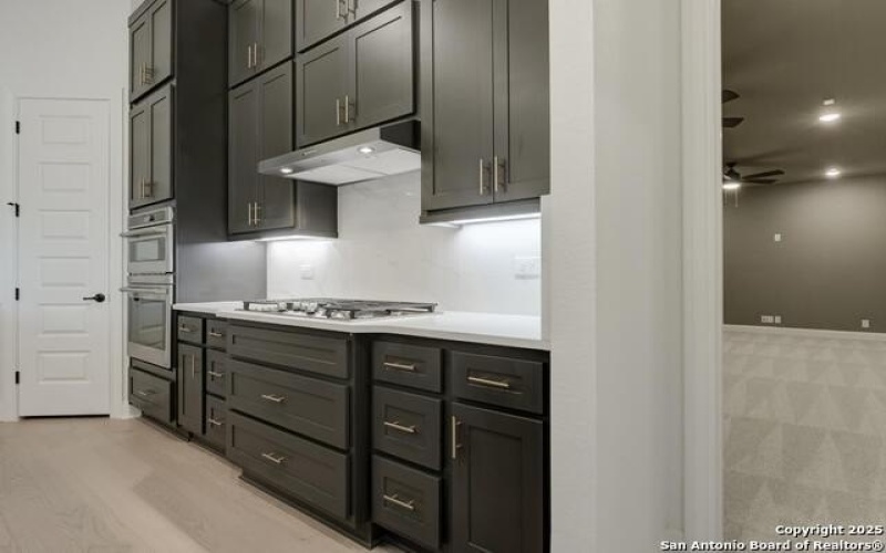 10811 Chestnut Warbler, New Braunfels, TX 78132, 4 Habitaciones Habitaciones , ,3 BañosBaños,Residential,En Venta,10811 Chestnut Warbler,1847828