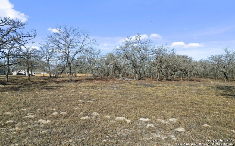 161 HONDO RIDGE, La Vernia, TX 78121, 4 Habitaciones Habitaciones , ,3 BañosBaños,Residential,En Venta,161 HONDO RIDGE,1839858