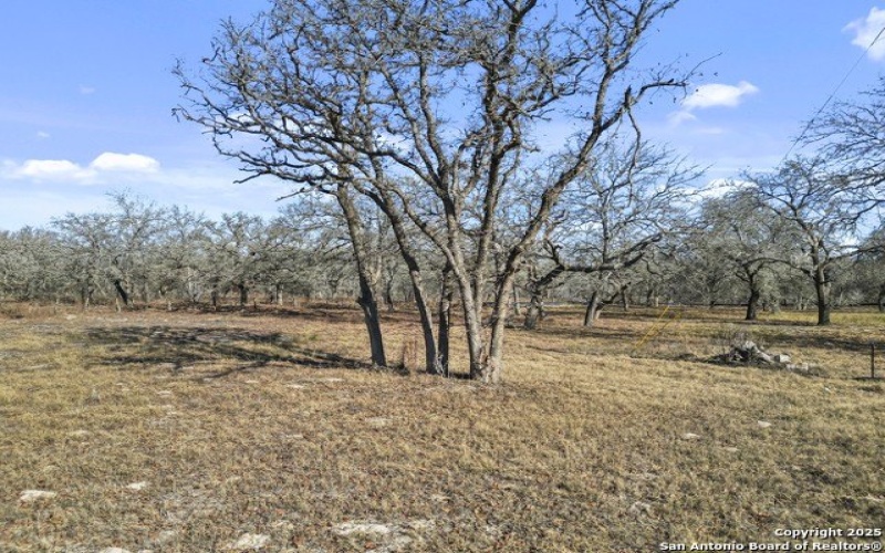 161 HONDO RIDGE, La Vernia, TX 78121, 4 Habitaciones Habitaciones , ,3 BañosBaños,Residential,En Venta,161 HONDO RIDGE,1839858
