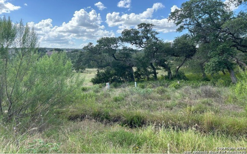 1728 CHARDONNAY, New Braunfels, TX 78132-1885, 4 Bedrooms Bedrooms, ,3 BathroomsBathrooms,Residential,For Sale,1728 CHARDONNAY,1842086