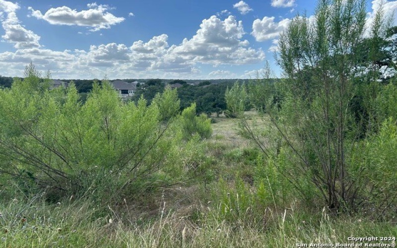 1728 CHARDONNAY, New Braunfels, TX 78132-1885, 4 Bedrooms Bedrooms, ,3 BathroomsBathrooms,Residential,For Sale,1728 CHARDONNAY,1842086