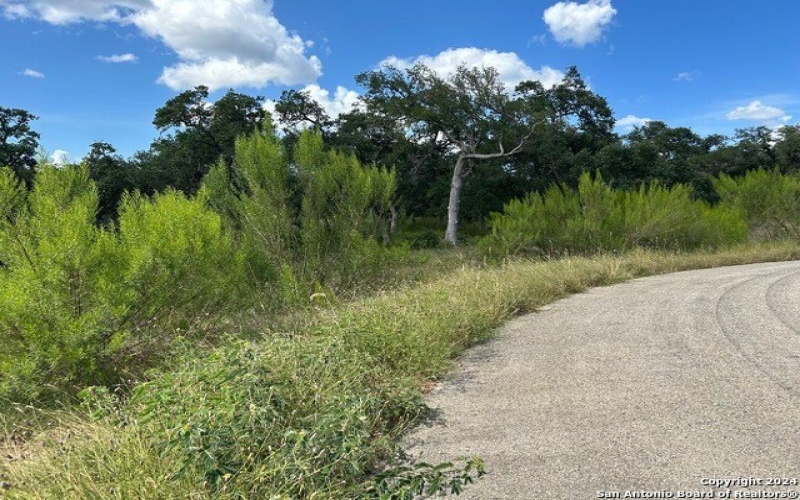 1728 CHARDONNAY, New Braunfels, TX 78132-1885, 4 Bedrooms Bedrooms, ,3 BathroomsBathrooms,Residential,For Sale,1728 CHARDONNAY,1842086