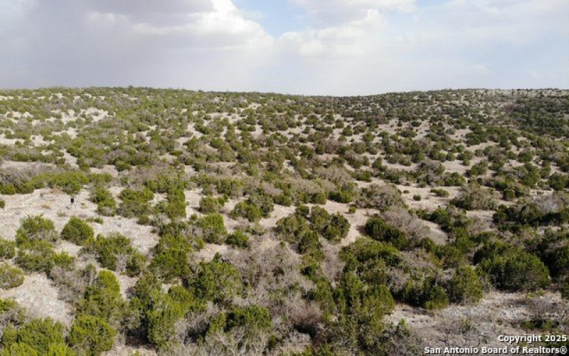 1173 SD 42200, Rocksprings, TX 78880, 1 Bedroom Bedrooms, ,Farm,For Sale,1173 SD 42200,1853994