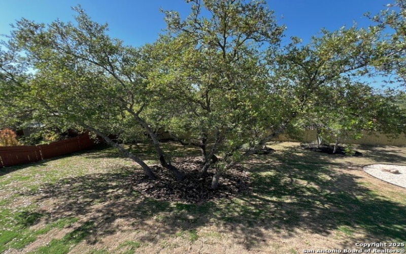 707 Lone Circle, San Antonio, TX 78260, 4 Habitaciones Habitaciones , ,5 BañosBaños,Residential,En Venta,707 Lone Circle,0,1857963