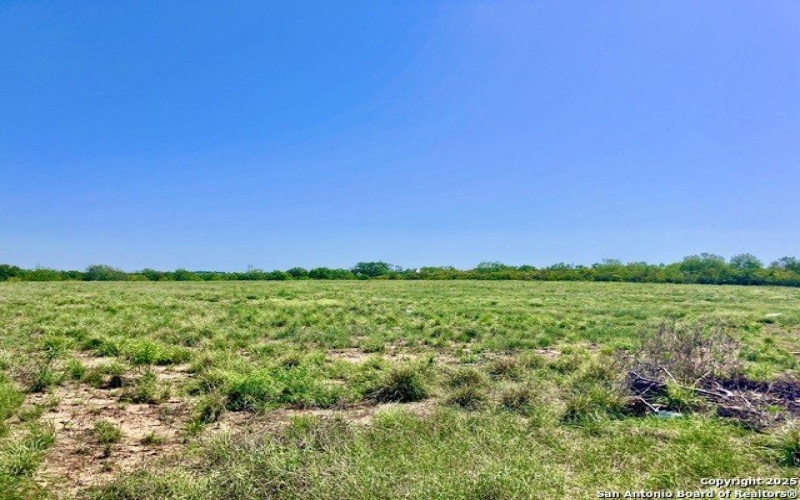 6286 FM 2146, Jourdanton, TX 78026, 5 Habitaciones Habitaciones , ,3 BañosBaños,Granja,En Venta,6286 FM 2146,1858387