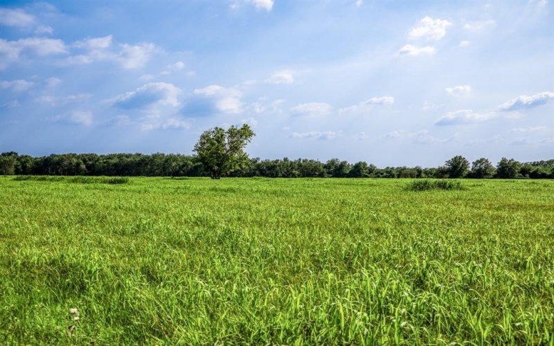 2 Bell Road, Waller, TX 77484, 3 Bedrooms Bedrooms, ,2 BathroomsBathrooms,Farm,For Sale,2 Bell Road,0,149513