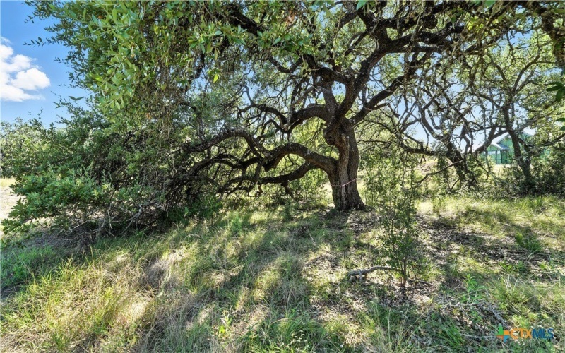 873 Annabelle, Bulverde, TX 78163, 3 Bedrooms Bedrooms, ,3 BathroomsBathrooms,Residential,For Sale,873 Annabelle,0,556562