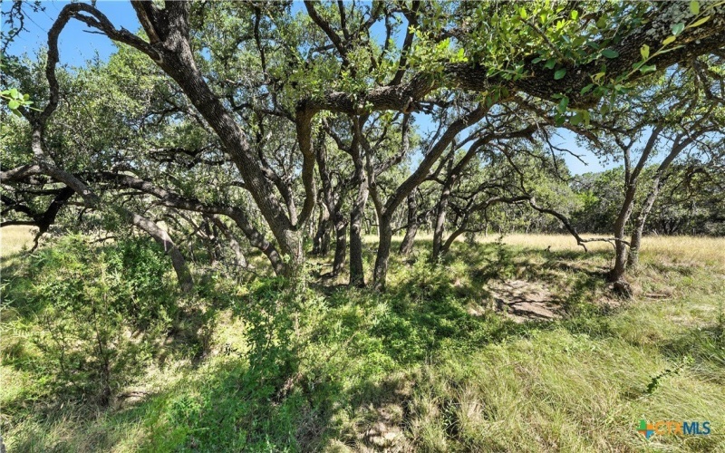 873 Annabelle, Bulverde, TX 78163, 3 Bedrooms Bedrooms, ,3 BathroomsBathrooms,Residential,For Sale,873 Annabelle,0,556562