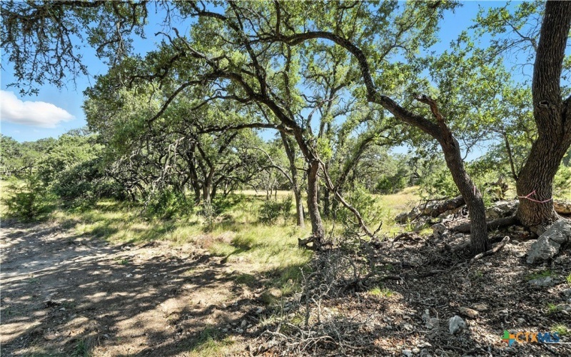 873 Annabelle, Bulverde, TX 78163, 3 Bedrooms Bedrooms, ,3 BathroomsBathrooms,Residential,For Sale,873 Annabelle,0,556562