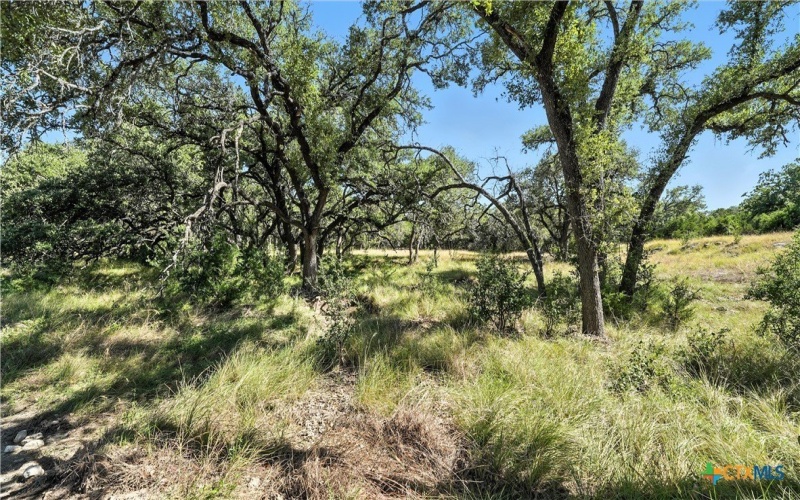 873 Annabelle, Bulverde, TX 78163, 3 Bedrooms Bedrooms, ,3 BathroomsBathrooms,Residential,For Sale,873 Annabelle,0,556562