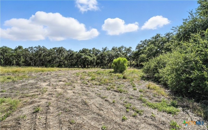 873 Annabelle, Bulverde, TX 78163, 3 Bedrooms Bedrooms, ,3 BathroomsBathrooms,Residential,For Sale,873 Annabelle,0,556562