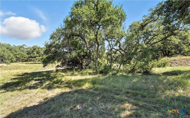 873 Annabelle, Bulverde, TX 78163, 3 Bedrooms Bedrooms, ,3 BathroomsBathrooms,Residential,For Sale,873 Annabelle,0,556562
