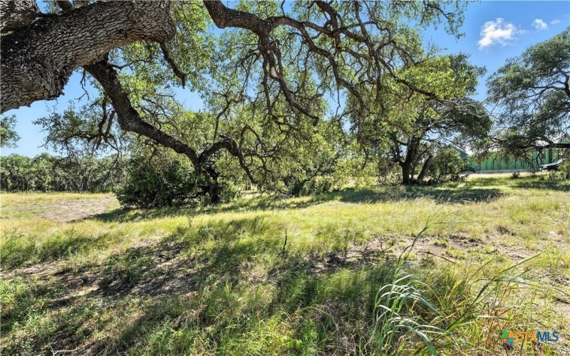 873 Annabelle, Bulverde, TX 78163, 3 Bedrooms Bedrooms, ,3 BathroomsBathrooms,Residential,For Sale,873 Annabelle,0,556562