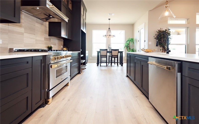 212 Saddle Springs Drive, Georgetown, TX 78633, 4 Bedrooms Bedrooms, ,3 BathroomsBathrooms,Residential,For Sale,212 Saddle Springs Drive,0,557196