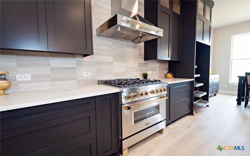 212 Saddle Springs Drive, Georgetown, TX 78633, 4 Bedrooms Bedrooms, ,3 BathroomsBathrooms,Residential,For Sale,212 Saddle Springs Drive,0,557196