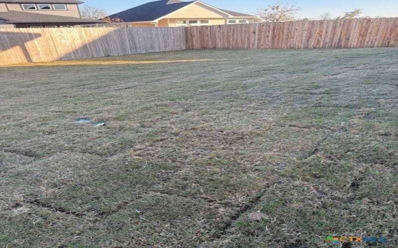 125 Elderberry Drive, Salado, TX 76571, 3 Habitaciones Habitaciones , ,2 BañosBaños,Residential,En Venta,125 Elderberry Drive,565328