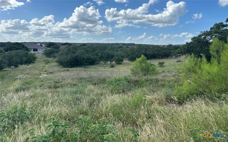 1728 Chardonnay, New Braunfels, TX 78132, 4 Bedrooms Bedrooms, ,3 BathroomsBathrooms,Residential,For Sale,1728 Chardonnay,569985