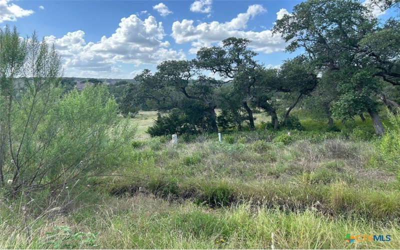 1728 Chardonnay, New Braunfels, TX 78132, 4 Bedrooms Bedrooms, ,3 BathroomsBathrooms,Residential,For Sale,1728 Chardonnay,569985