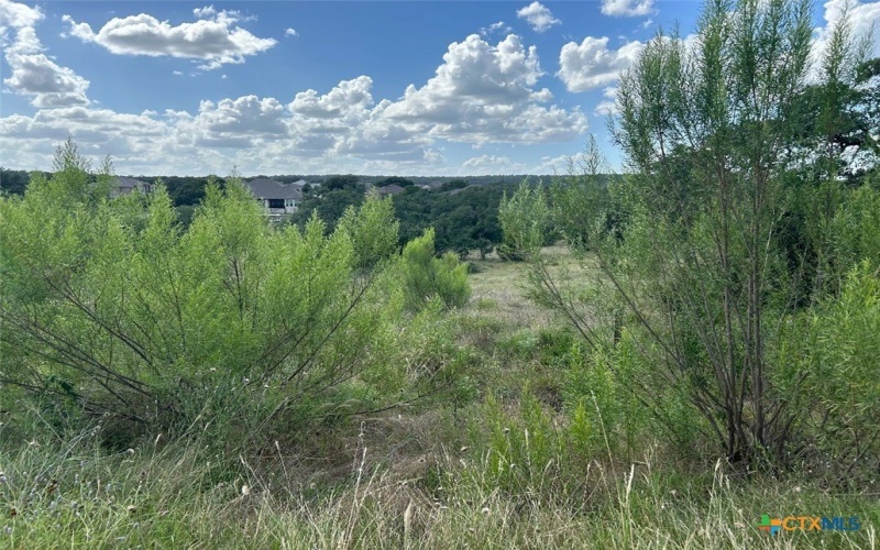1728 Chardonnay, New Braunfels, TX 78132, 4 Bedrooms Bedrooms, ,3 BathroomsBathrooms,Residential,For Sale,1728 Chardonnay,569985