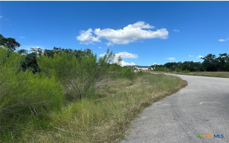 1728 Chardonnay, New Braunfels, TX 78132, 4 Bedrooms Bedrooms, ,3 BathroomsBathrooms,Residential,For Sale,1728 Chardonnay,569985