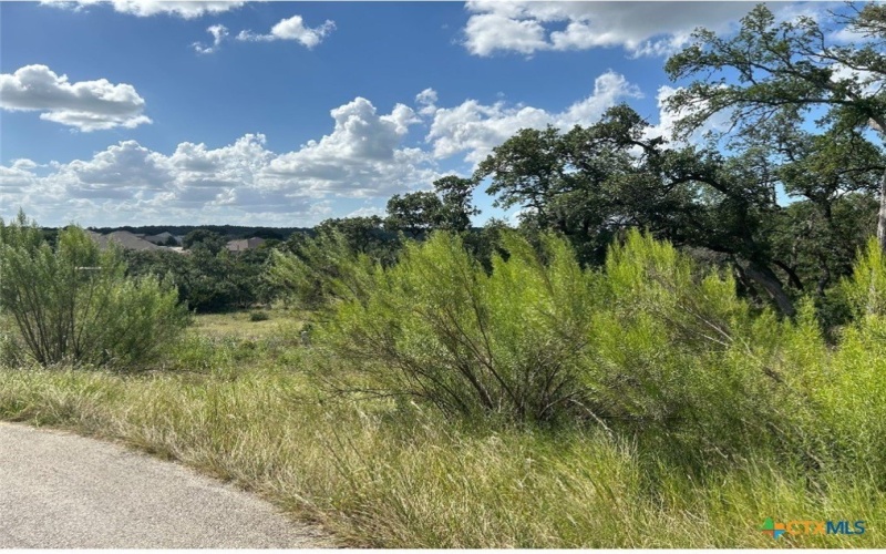 1728 Chardonnay, New Braunfels, TX 78132, 4 Bedrooms Bedrooms, ,3 BathroomsBathrooms,Residential,For Sale,1728 Chardonnay,569985