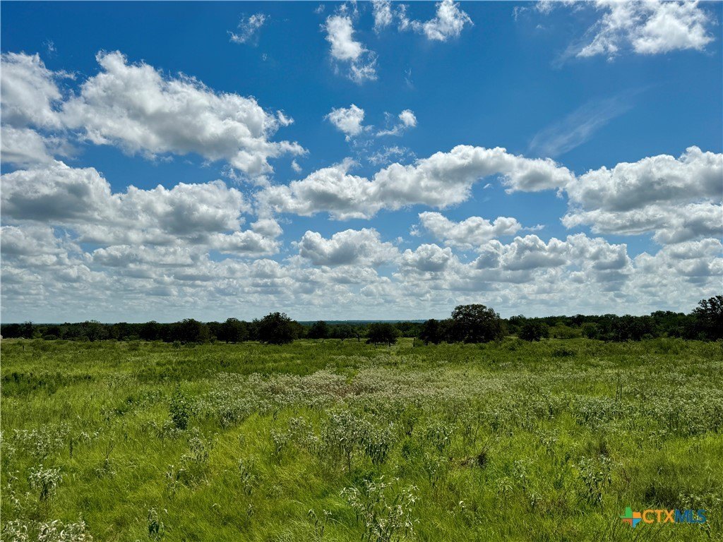 133 Wheeler Street, Stockdale, TX 78160, ,Commercial Sale,For Sale,133 Wheeler Street,571306