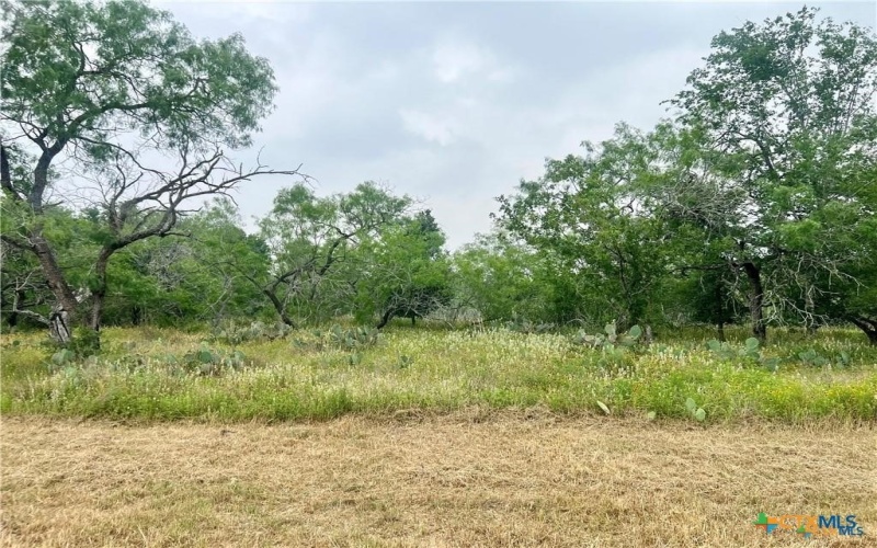 Lot 8 Wisteria Lane, Smiley, TX 78159, 3 Bedrooms Bedrooms, ,2 BathroomsBathrooms,Residential,For Sale,Lot 8 Wisteria Lane,575398