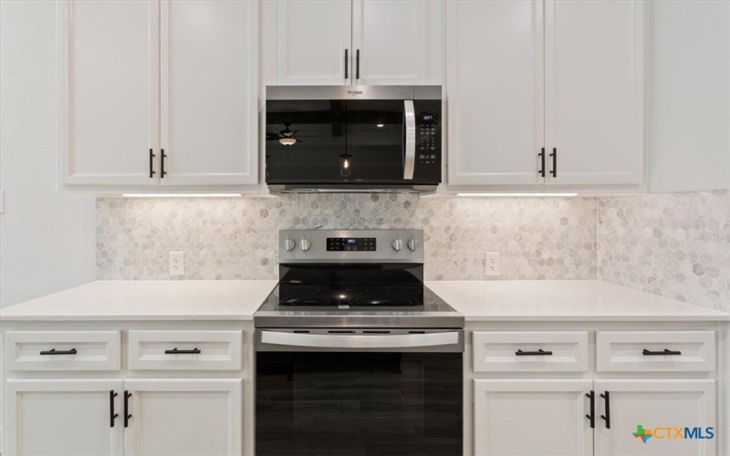 2221 Bigtooth Maple Road, Temple, TX 76502, 4 Habitaciones Habitaciones , ,2 BañosBaños,Residential,En Venta,2221 Bigtooth Maple Road,0,575974