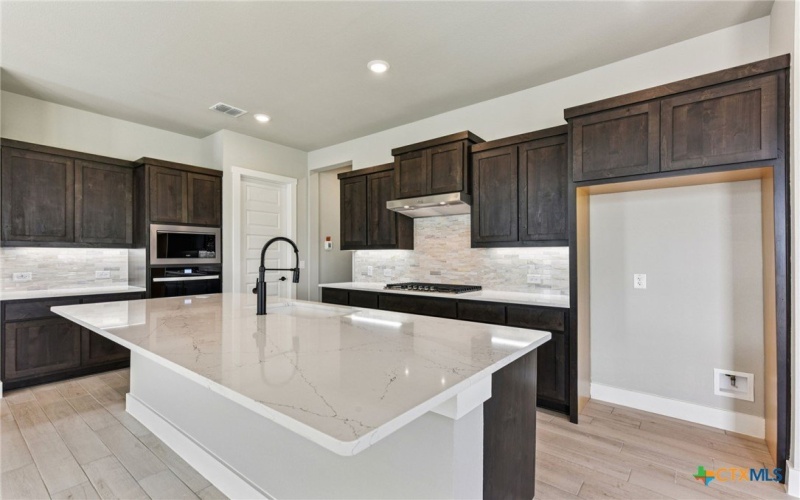 308 Olive Blossom Trail, San Marcos, TX 78666, 2 Habitaciones Habitaciones , ,2 BañosBaños,Residential,En Venta,308 Olive Blossom Trail,0,576067