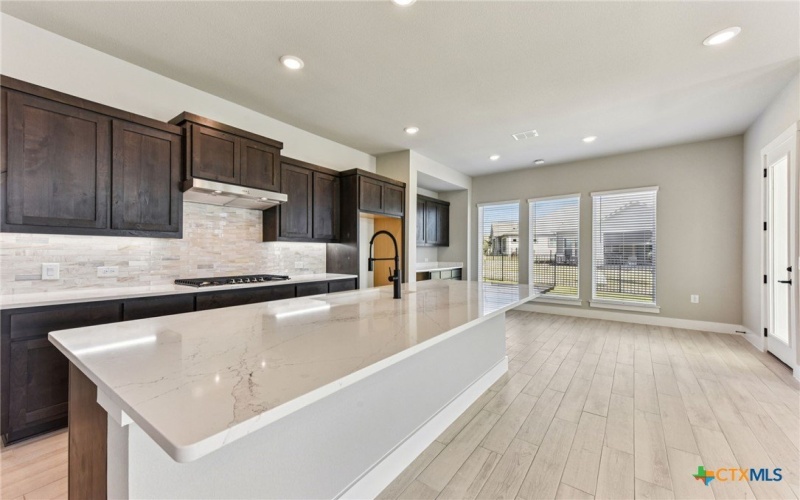 308 Olive Blossom Trail, San Marcos, TX 78666, 2 Habitaciones Habitaciones , ,2 BañosBaños,Residential,En Venta,308 Olive Blossom Trail,0,576067