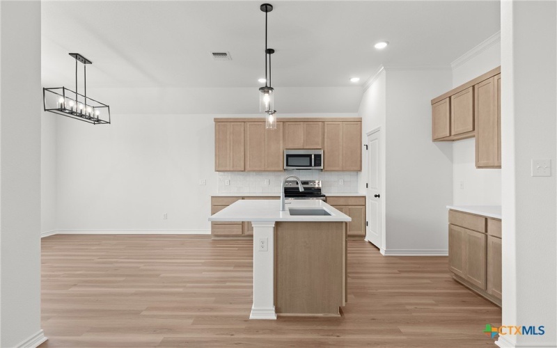 1237 Bending Branch Way, Temple, TX 76502, 4 Bedrooms Bedrooms, ,2 BathroomsBathrooms,Residential,For Sale,1237 Bending Branch Way,0,576597