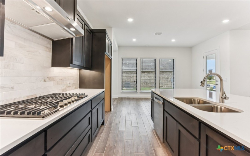 104 Olive Blossom Trail, San Marcos, TX 78666, 2 Habitaciones Habitaciones , ,2 BañosBaños,Residential,En Venta,104 Olive Blossom Trail,0,579034